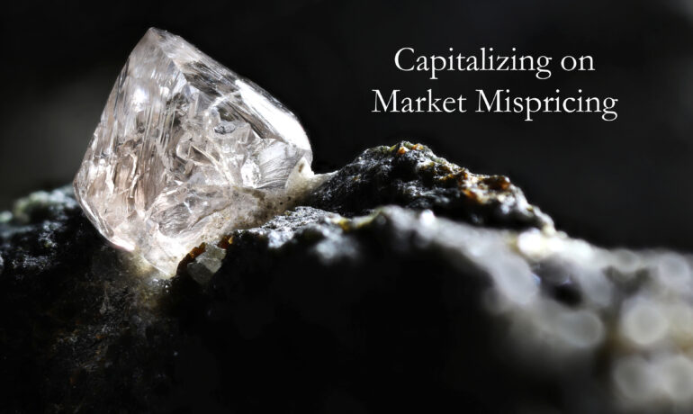 2025 Q2 Investment Letter (Capitalizing on Market Mispricing)